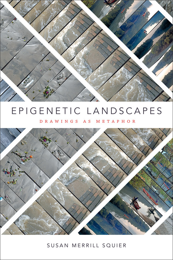 Epigenetic landscapes